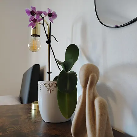 Lior Apartment Opatija
